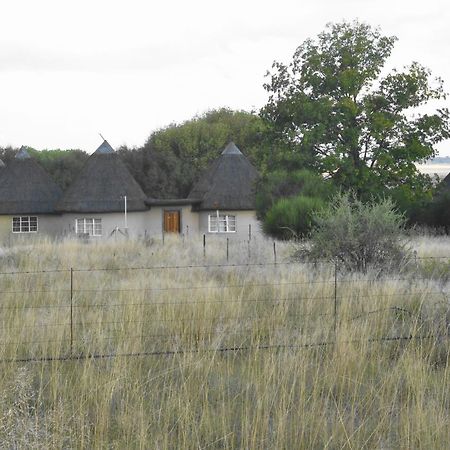 Van Zylsvlei - A Karoo Guest Farm Colesberg Kültér fotó